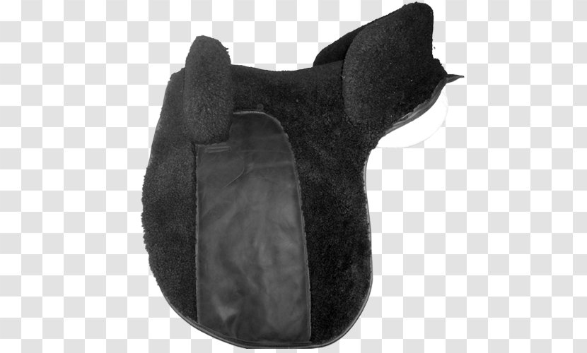 Horse Tack Shoe Snout Fur Transparent PNG