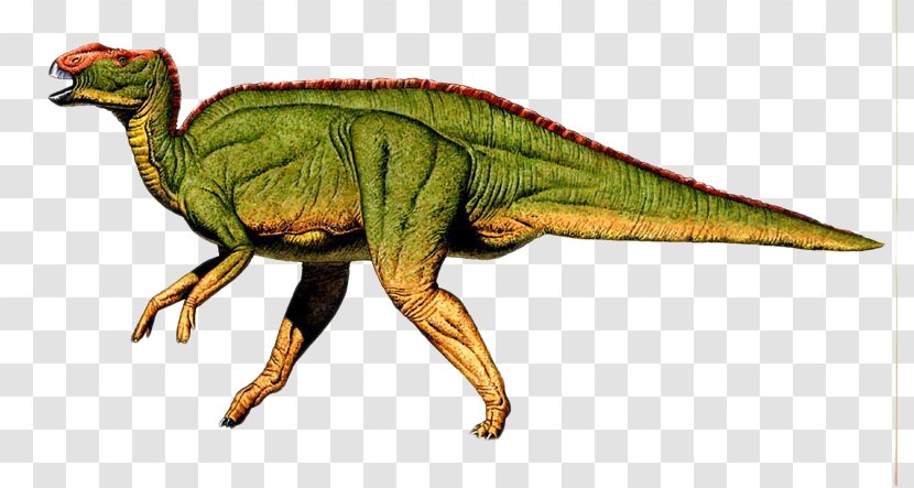 Hadrosaurus Foulkii Leidy Site Academy Of Natural Sciences Drexel University Astrodon Triceratops - Dinosaur Transparent PNG