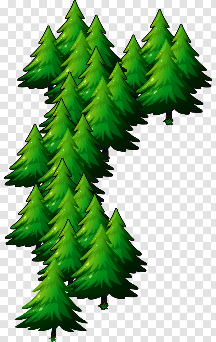 Deodar Cedar Christmas Tree Fir Spruce Day - In July Transparent PNG