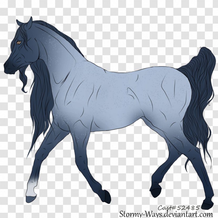 Stallion Mustang Foal Mare Colt - Mane Transparent PNG