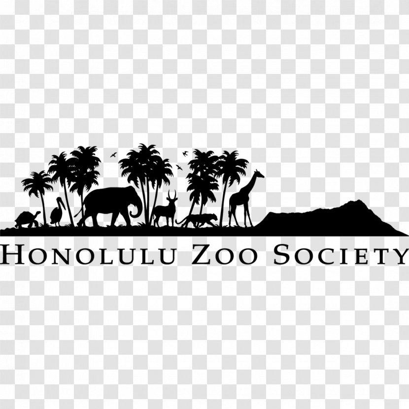 Honolulu Zoo Waikiki Sea Life Park Hawaii Public Aquarium Transparent PNG
