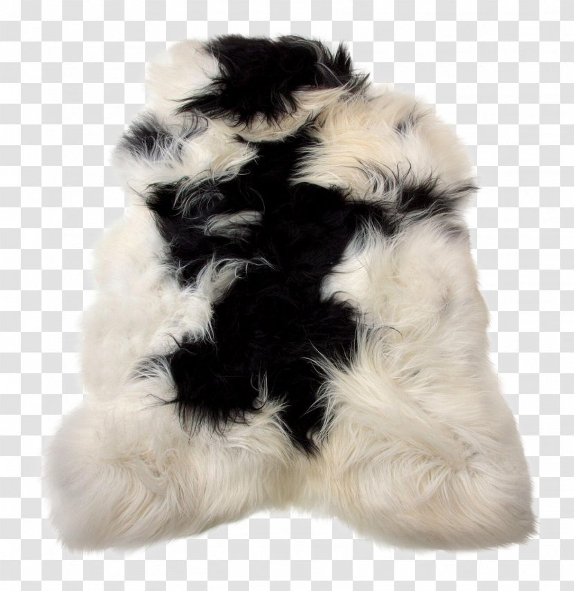 Icelandic Sheep Sheepskin Fur - Carpet - Dog Like Mammal Transparent PNG