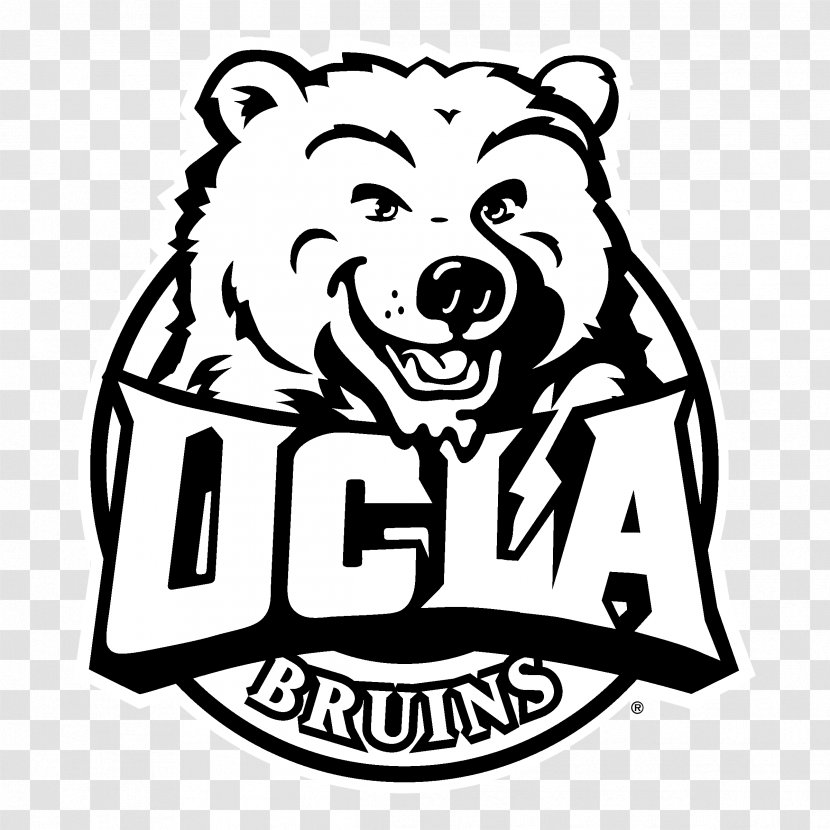 University Of California, Los Angeles UCLA Bruins Football Men's Basketball Women's T-shirt - Drawing - Ucla Transparent PNG