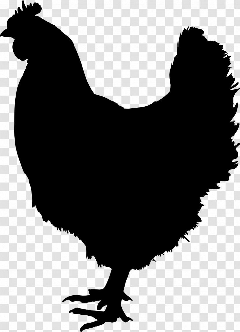 Rooster Image Chicken - Galliformes - Logo Transparent PNG