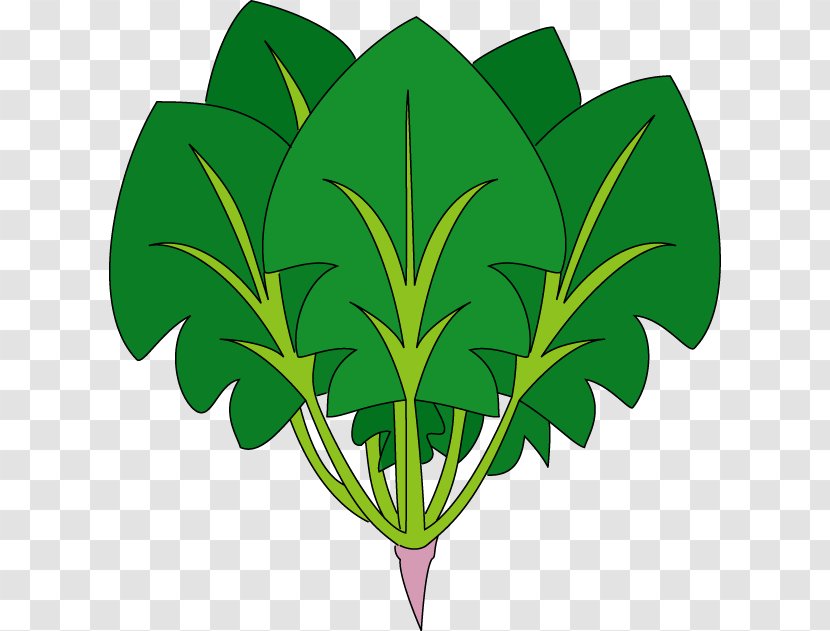 Spinach Food Royalty-free Clip Art - Paper - Cartoon Transparent PNG