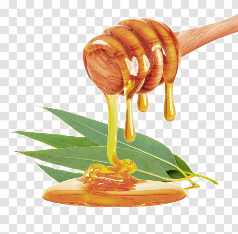 Mānuka Honey Stock Photography Bee Food - Syrup Transparent PNG