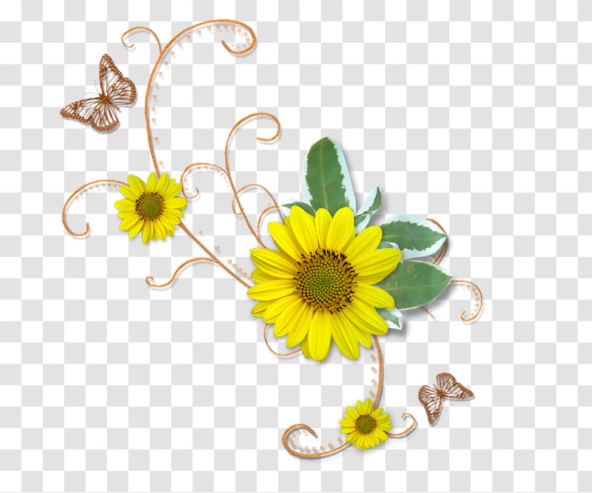 Chrysanthemum Floral Design Cut Flowers Common Sunflower Yellow - Seed Transparent PNG