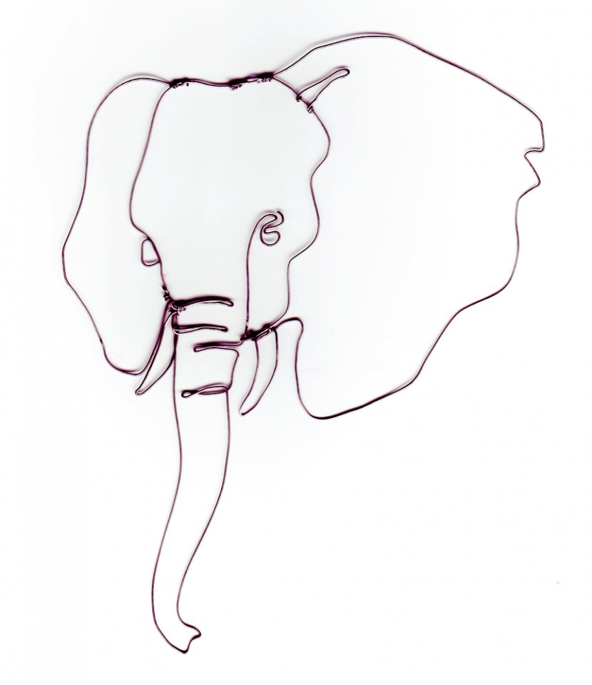 Indian Elephant African Drawing Clip Art - Tree - Outline Of Face Transparent PNG