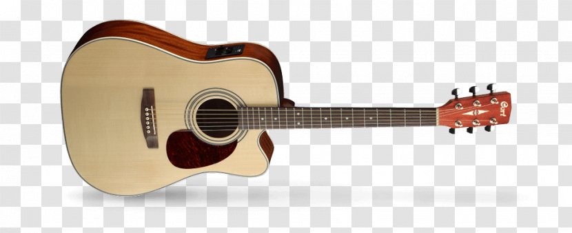 Acoustic Guitar Cort Guitars Musical Instruments Dreadnought - Tree Transparent PNG
