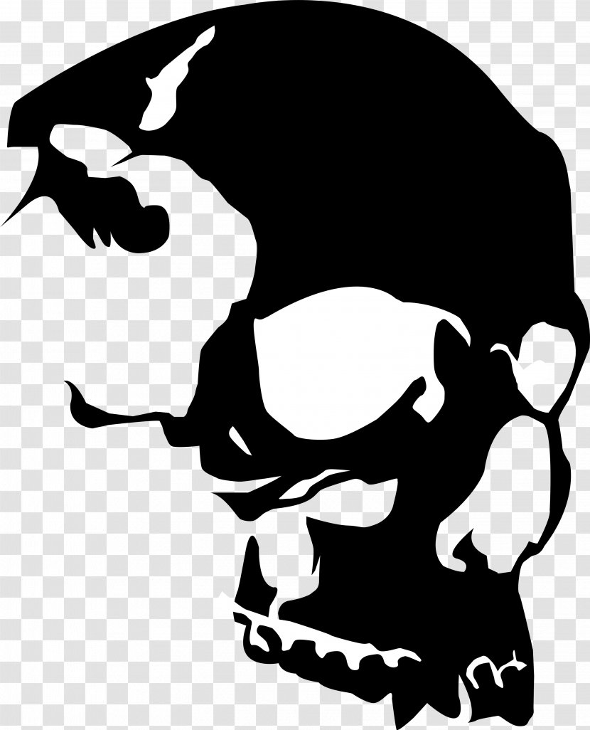 Skull Royalty-free Clip Art - Transparent Cliparts Transparent PNG