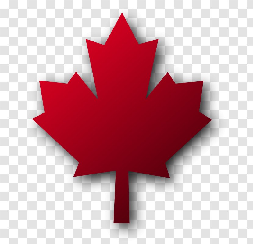 Toronto Pearson International Airport Maple Leaf, - Tree - Canada Leaf Clipart Transparent PNG