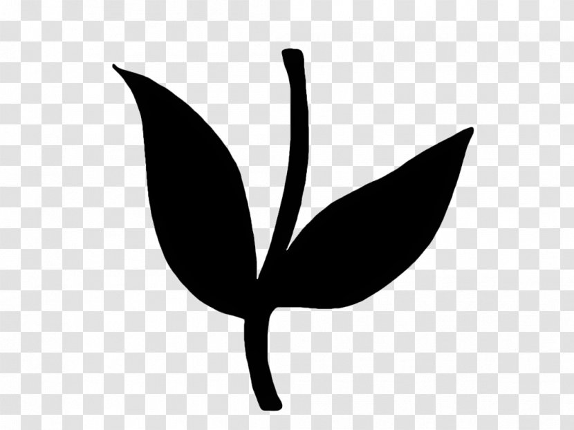 Leaf White Black Black-and-white Logo - Plant Stem Monochrome Photography Transparent PNG