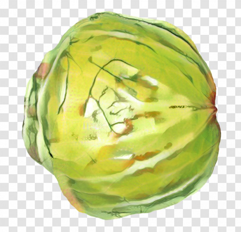 Vegetable Cartoon - Wild Cabbage - Iceburg Lettuce Food Transparent PNG