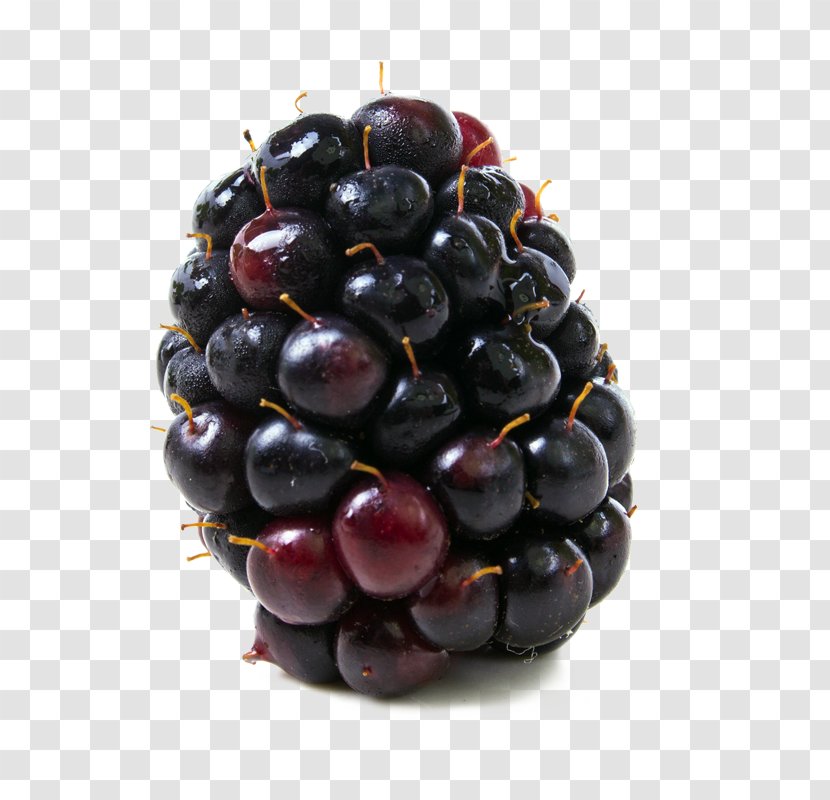 Boysenberry Food Blackberry Kotataberry - Bilberry - Berries Transparent PNG