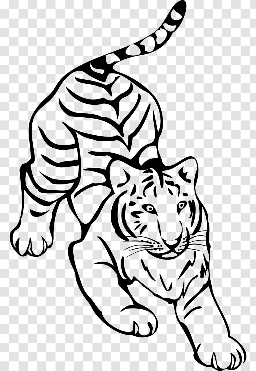 Tiger Whiskers Line Art Black And White Drawing - Monochrome Transparent PNG