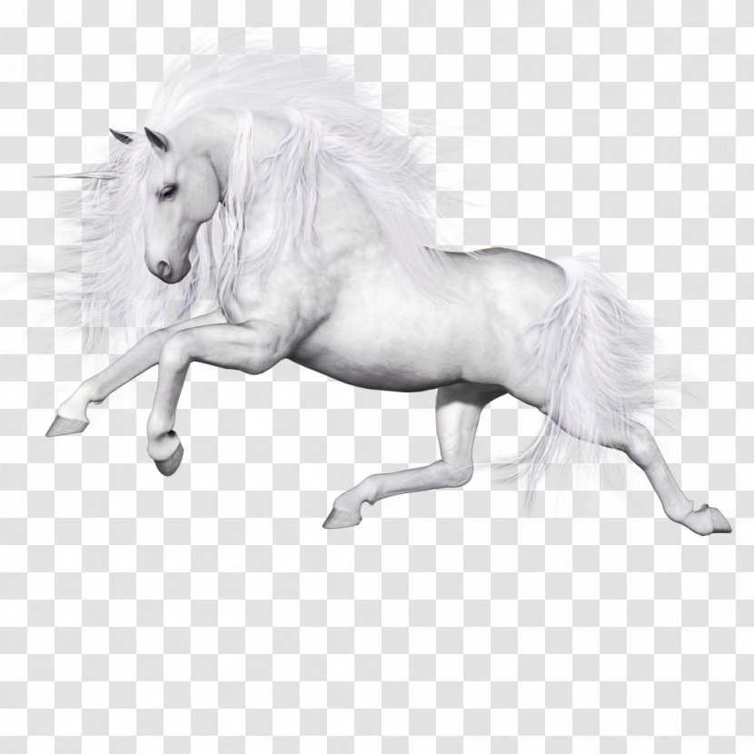 Ferghana Horse Unicorn Pegasus Animal Pony - Tail - Unicor Transparent PNG