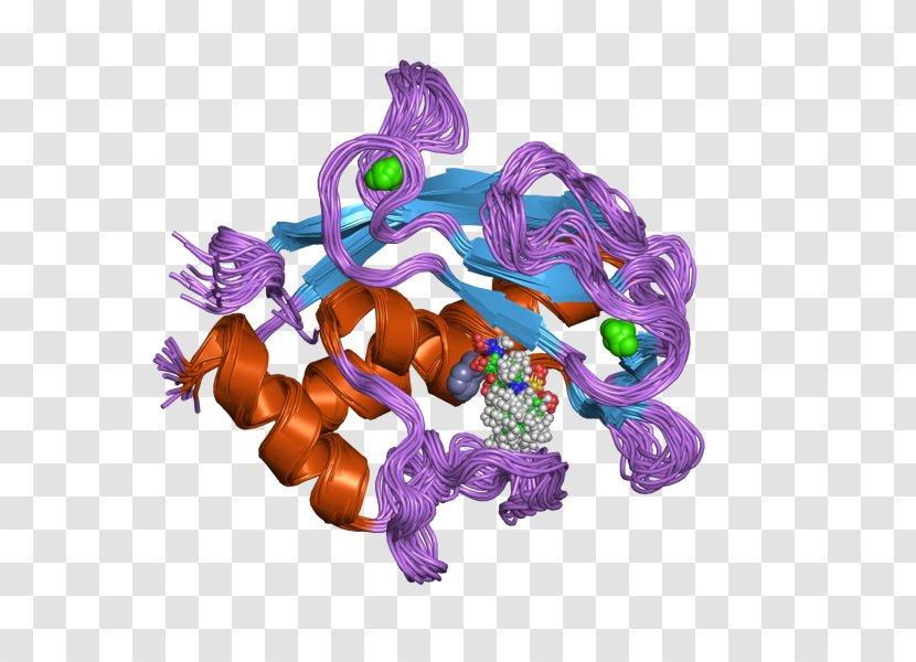 MMP20 Protease Matrix Metalloproteinase Metallopeptidase 20 (enamelysin) Transparent PNG
