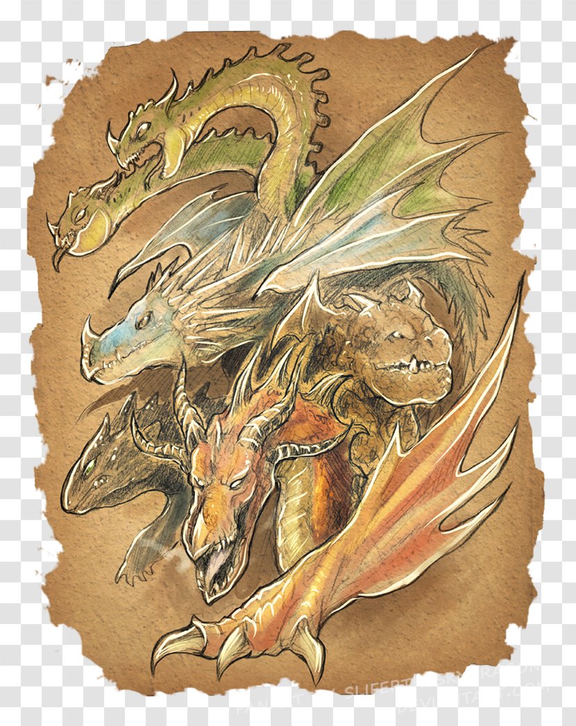 How To Train Your Dragon Drawing Sketch - Carnivoran - Dragoon Transparent PNG