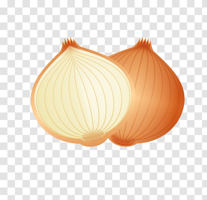 Onion Cartoon - Food Transparent PNG