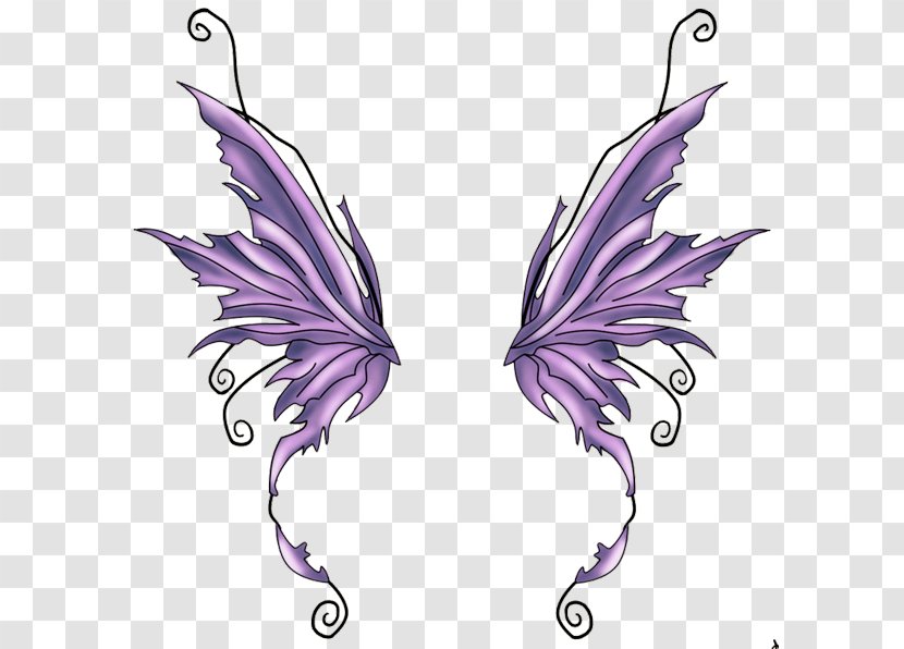 Butterfly Purple Illustration - Wing - Fairy Tattoos Free Image Transparent PNG