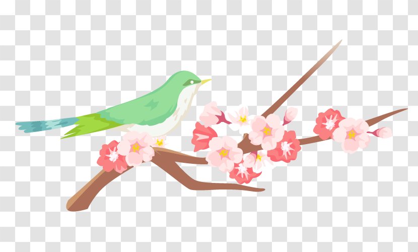 Uguit And Cherry Blossoms. - Branch - Japan Transparent PNG