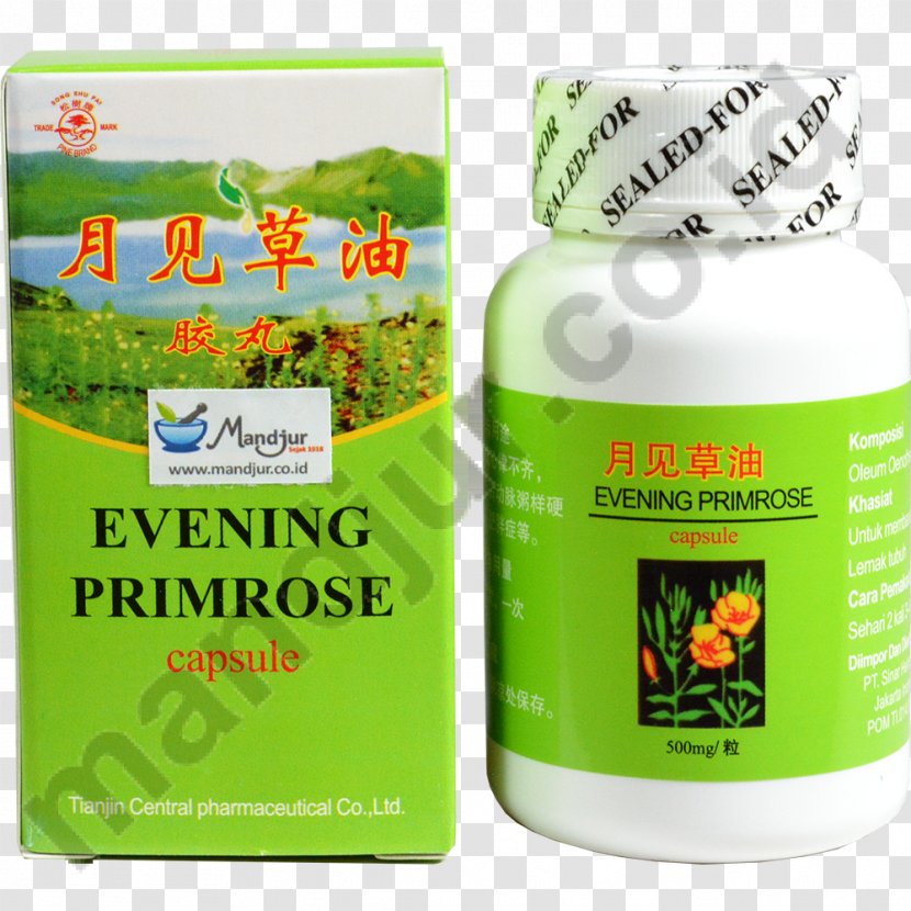 Common Evening-primrose Dietary Supplement Gamma-Linolenic Acid Omega-6 Fatty Herb - Grass - Evening Primrose Transparent PNG