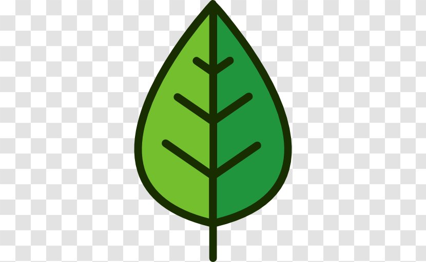 Leaf Green Graphics Plant Stem Symbol Transparent PNG