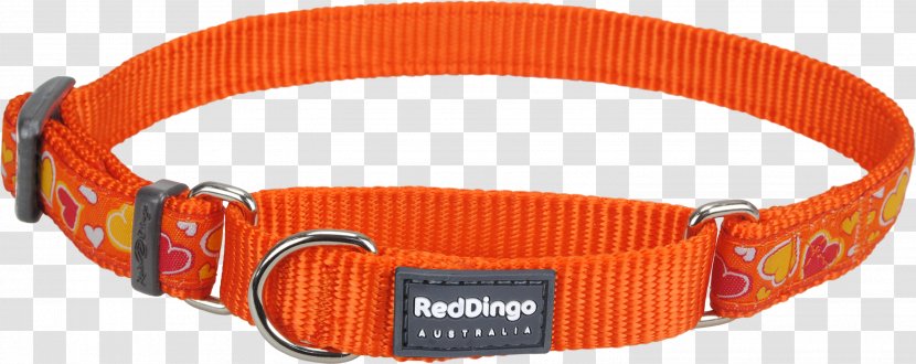 Dog Collar Martingale Dingo - Red Transparent PNG