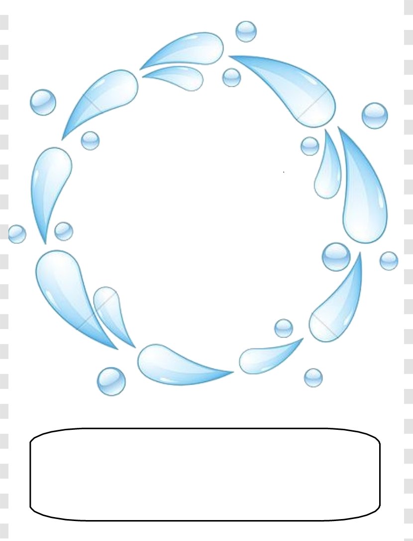 Water Circle Royalty-free - Organism - Drops Transparent PNG