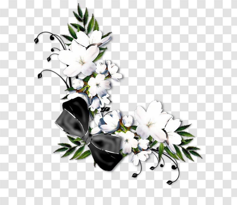 Floral Design Flower White Clip Art - Floristry - FLOR BLANCA Transparent PNG