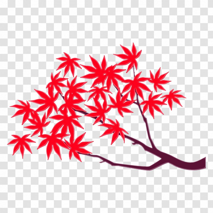 Maple Leaf - Tree - Flower Transparent PNG