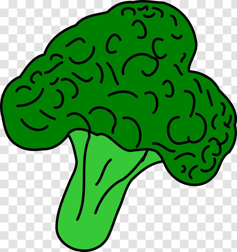 Broccoli Vegetable Clip Art - Area Transparent PNG