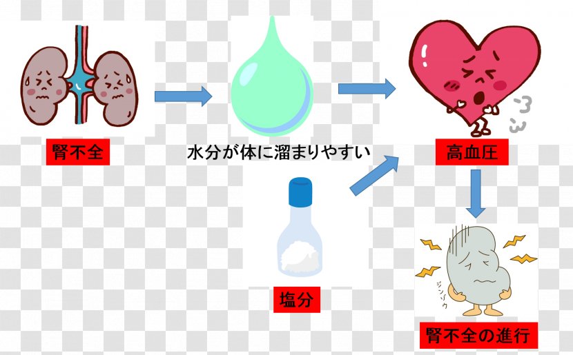 Nephrology Kidney Failure Chronic Disease - Cartoon - Heart Transparent PNG
