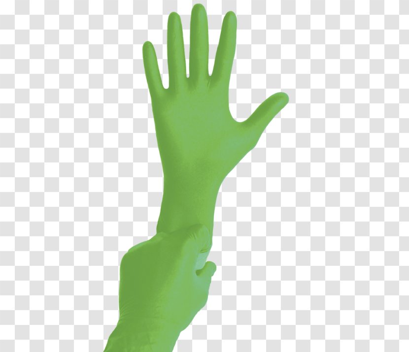 Finger Hand Model Medical Glove Green - Sliced ​​aloe Vera Transparent PNG