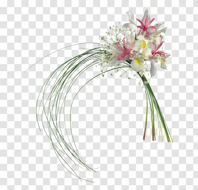 Floral Design Cut Flowers Flower Bouquet Lilium - Flora - Iris Transparent PNG