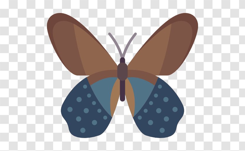 Brush-footed Butterflies Moth Butterfly Pattern - Brush Footed Transparent PNG
