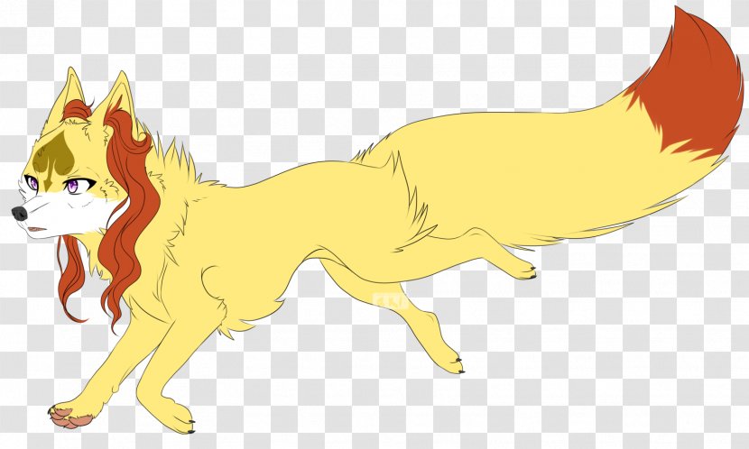 Whiskers Red Fox Dog Cat - Organism Transparent PNG