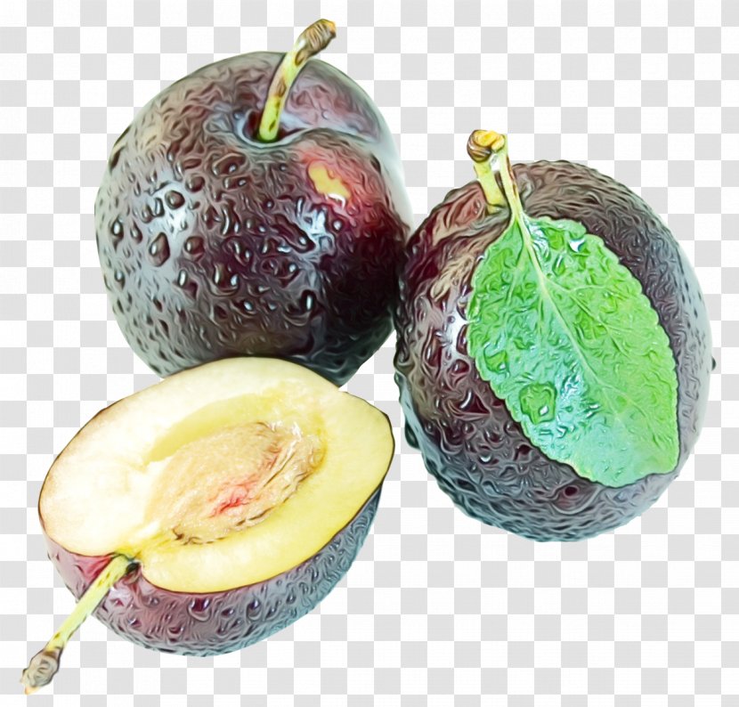 Blossom Background - Plant - Accessory Fruit Avocado Transparent PNG