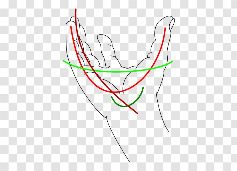 Neck Pain Joint Hand Management - Structure Anatomy Transparent PNG