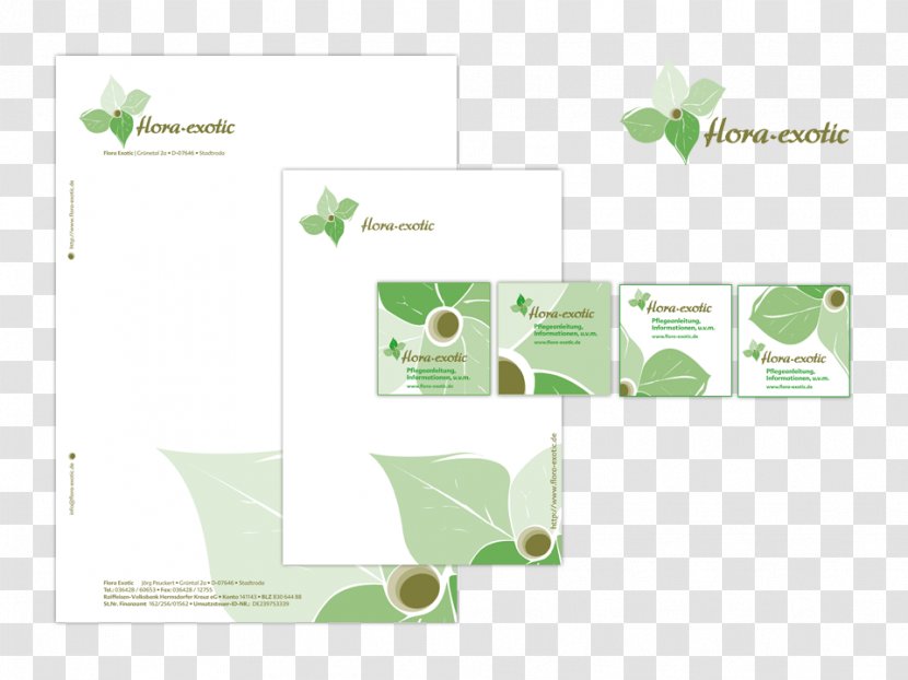 Brand Green - Leaf - Design Transparent PNG