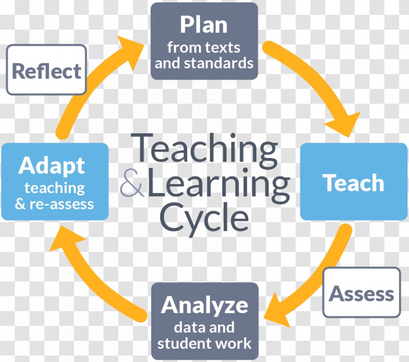 Teacher Learning Cycle Education Professional Community - By Teaching Transparent PNG