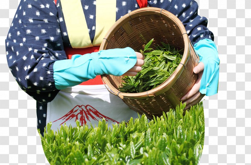 Green Tea Wazuka Sencha Garden - Food - The In Bamboo Basket Transparent PNG