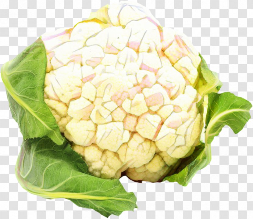 Vegetables Cartoon - Commodity - Wild Cabbage Flower Transparent PNG