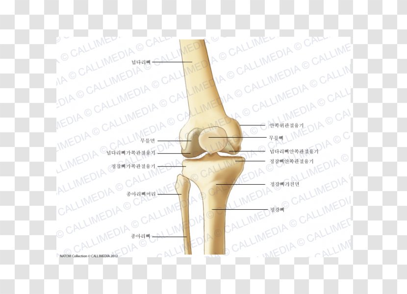 Finger Hip Knee Elbow - Heart - Design Transparent PNG