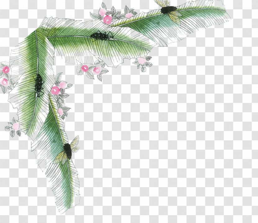 Leaf Coconut - Green - Hand Painted Leaves Transparent PNG