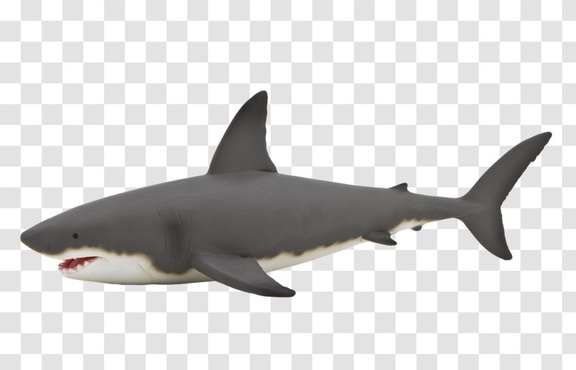 Great White Shark Hammerhead Whale Isurus Oxyrinchus - Carcharodon - Tiburon Transparent PNG
