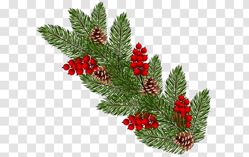 Christmas Ornament Conifer Cone Clip Art - Pine Branches Buckle Free Photos Transparent PNG