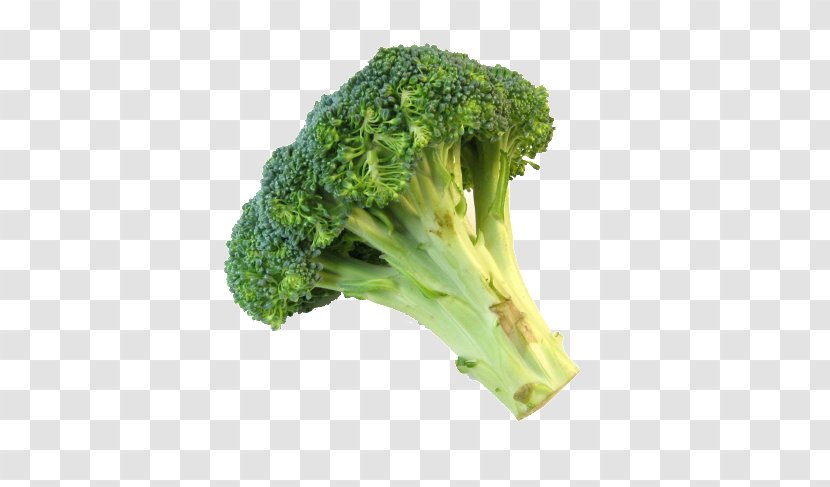 Romanesco Broccoli Broccolini Vegetable - Sprouts - Cauliflower Transparent PNG