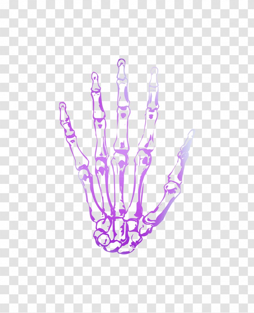 Finger Hand Model Purple Organism Transparent PNG