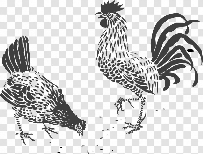 Chicken Drawing Line Art Rooster Clip - Poultry - Chick Transparent PNG